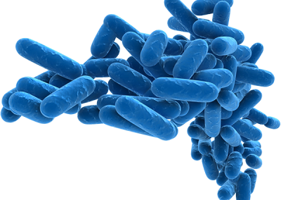 Die Innensanierung der Rohre unter dem Aspekt der Trinkwasserverordnung